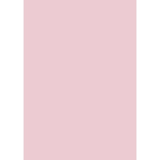 ΧΑΡΤΟΝΙ Α4 300γρ Light Rose ΧΑΡΤΟΝΙ Α4 300γρ Light Rose