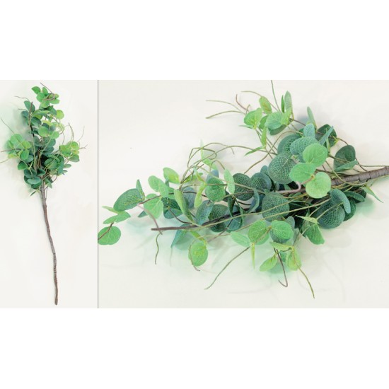 ΚΛΑΔΙ ΕΥΚΑΛΥΠΤΟΣ ΜΕΓΑΛΟ 15cm x 75cm 0516040 ΚΛΑΔΙ ΕΥΚΑΛΥΠΤΟΣ ΜΕΓΑΛΟ 15cm x 75cm 0516040