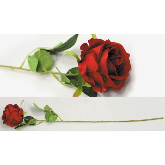 ΤΡΙΑΝΤΑΦΥΛΛΟ 55cm x 8cm 0516124 ΤΡΙΑΝΤΑΦΥΛΛΟ 55cm x 8cm 0516124