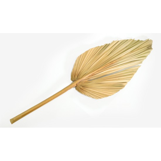 ΑΠΟΞΗΡΑΜΕΝΟ ΦΥΛΛΟ ΦΟΙΝΙΚΑ 20cm x 60cm 0516137 ΑΠΟΞΗΡΑΜΕΝΟ ΦΥΛΛΟ ΦΟΙΝΙΚΑ 20cm x 60cm 0516137
