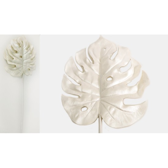 ΜΟΝΣΤΕΡΑ ΛΕΥΚΗ 60cm x 14cm 0516139 ΜΟΝΣΤΕΡΑ ΛΕΥΚΗ 60cm x 14cm 0516139