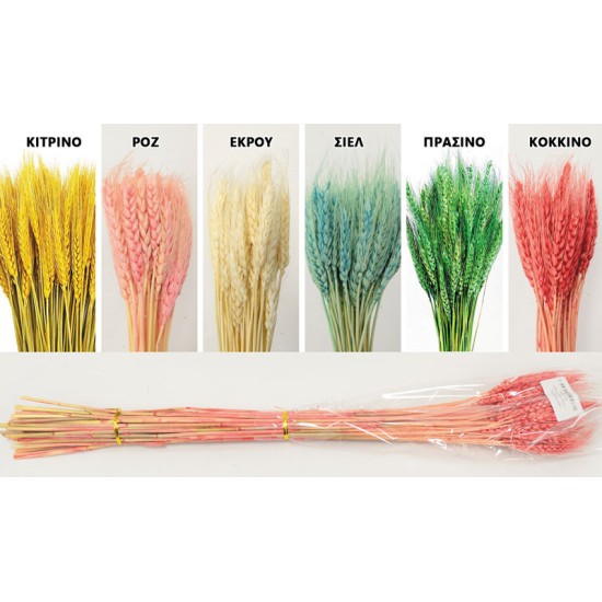 WHEAT 70cm 0516155 WHEAT 70cm 0516155