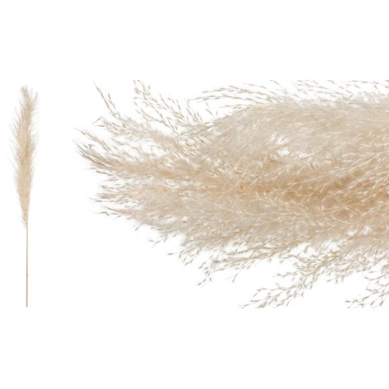 PAMPAS 120cm 0516167 PAMPAS 120cm 0516167