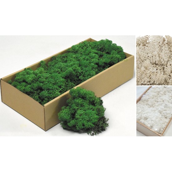 MOSS 500g 0516180 MOSS 500g 0516180