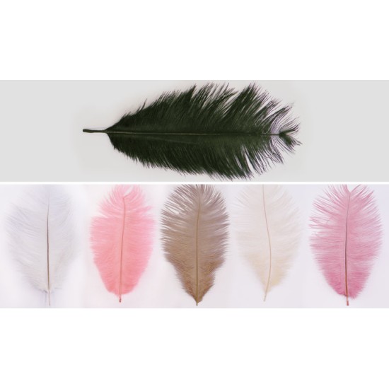 ΦΤΕΡΑ ΜΕΓΑΛΑ 18-24cm 10τεμ/Πακ 0517130 ΦΤΕΡΑ ΜΕΓΑΛΑ 18-24cm 10τεμ/Πακ 0517130