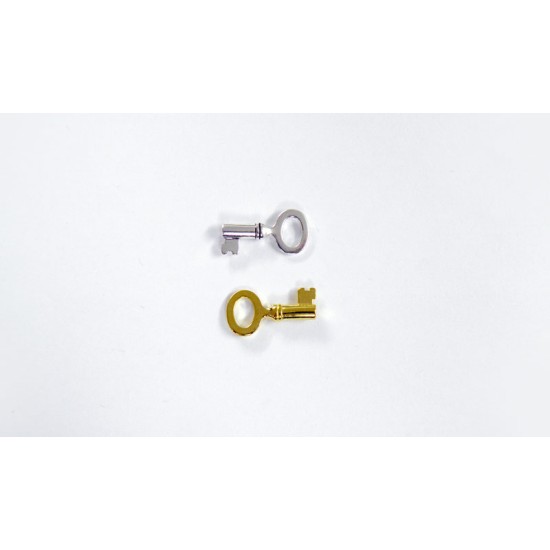 ΜΕΤΑΛΛΙΚΟ ΚΛΕΙΔΙ ΜΙΚΡΟ 25mm x 10mm 0517742 ΜΕΤΑΛΛΙΚΟ ΚΛΕΙΔΙ ΜΙΚΡΟ 25mm x 10mm 0517742