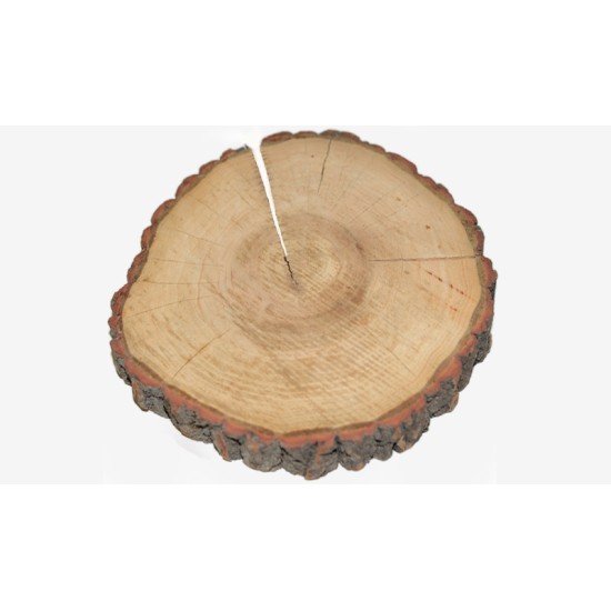 ΚΟΡΜΟΣ ΔΕΝΤΡΟΥ ΠΑΧΥΣ 16-20cm x 3cm 0619034 ΚΟΡΜΟΣ ΔΕΝΤΡΟΥ ΠΑΧΥΣ 16-20cm x 3cm 0619034