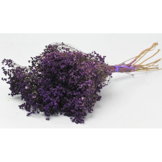 BROOM BLOOM ΜΩΒ 50cm 0924008 BROOM BLOOM ΜΩΒ 50cm 0924008