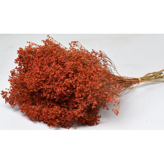 BROOM BLOOM ΠΟΡΤΟΚΑΛΙ 50cm 0924029 BROOM BLOOM ΠΟΡΤΟΚΑΛΙ 50cm 0924029