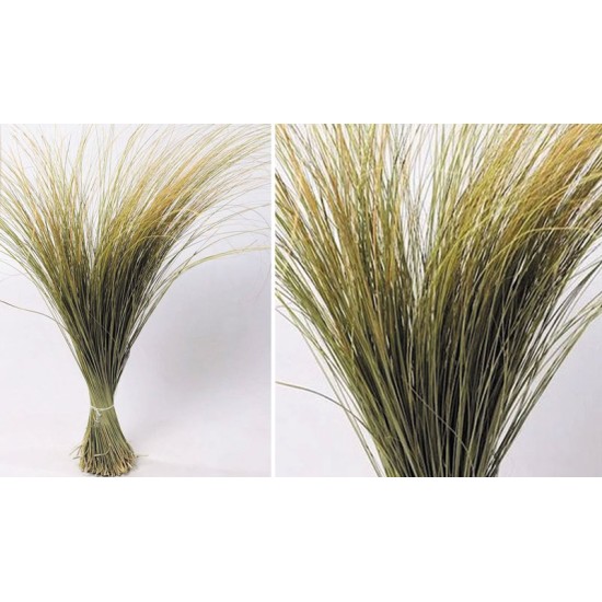 BEACH GRASS XL 120cm 0934500 BEACH GRASS XL 120cm 0934500