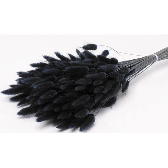LAGURUS 65cm ΜΑΥΡΟ 0952510 LAGURUS 65cm ΜΑΥΡΟ 0952510