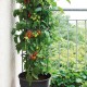 Γλαστράκι Tomato Grower, Y31,5x∅39,2εκ Γλαστράκι Tomato Grower, Y31,5x∅39,2εκ